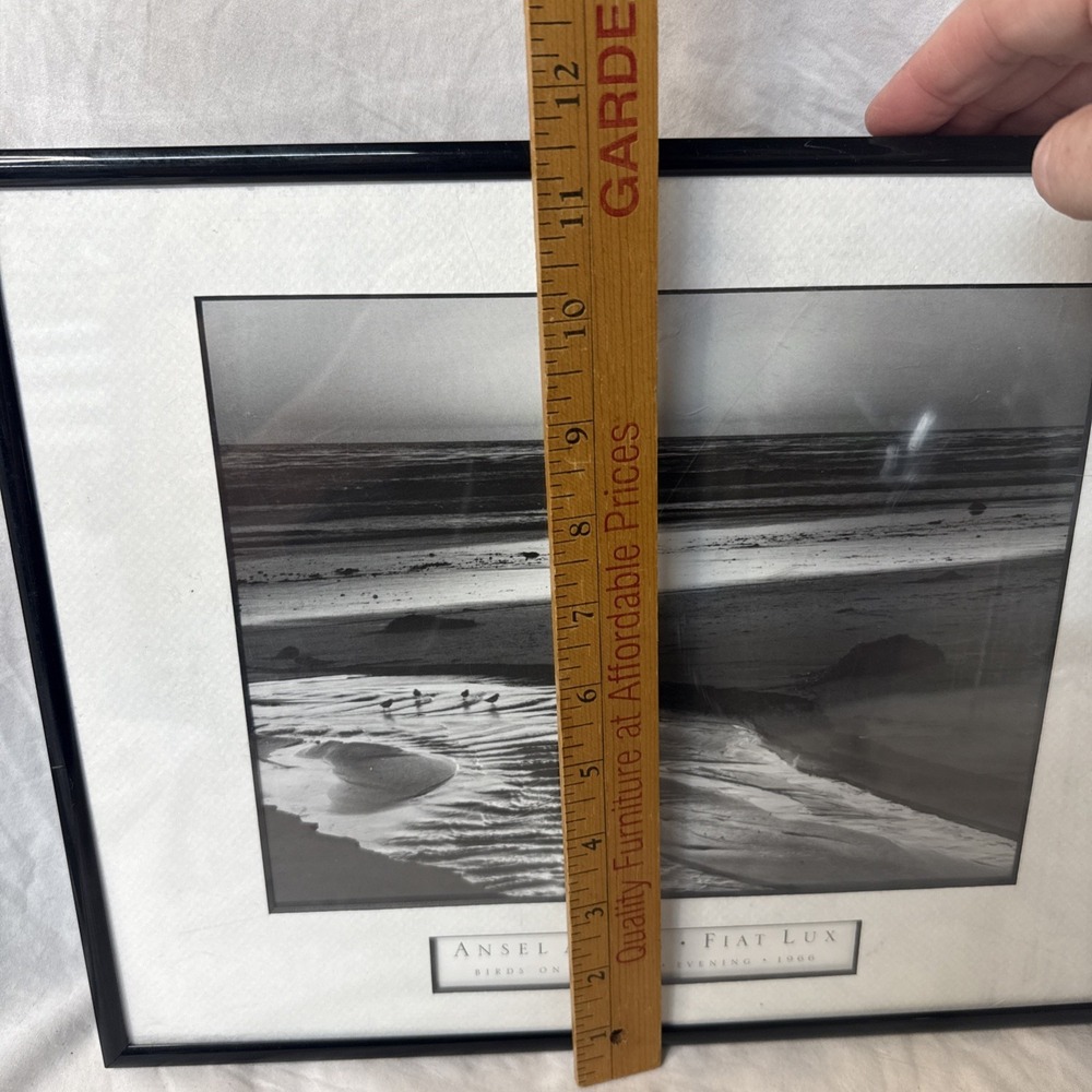 Ansel Adams Birds on a Beach Evening Framed Framed 1966 Photo 12x14 Wall Art VTG - Picture 10 of 15